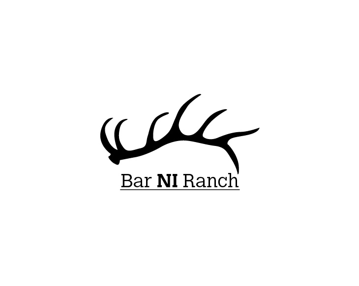 Logo Design entry 1657458 submitted by BTX123