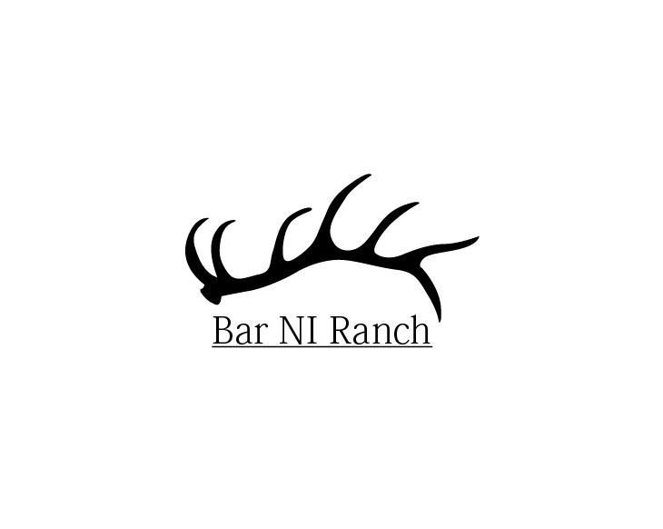 Logo Design entry 1657463 submitted by BTX123