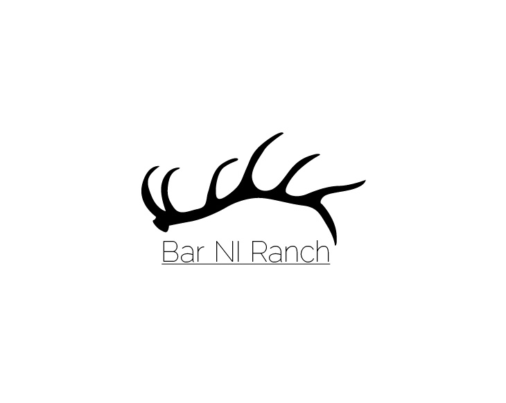 Logo Design entry 1657468 submitted by BTX123