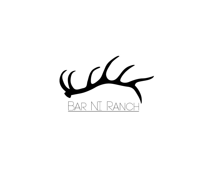 Logo Design entry 1657469 submitted by BTX123