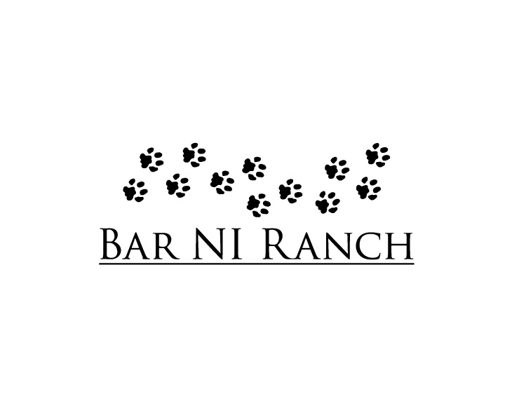 Logo Design entry 1657593 submitted by BTX123