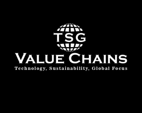 Logo Design entry 1599622 submitted by Itani to the Logo Design for TSG Value Chains Inc run by tukdat