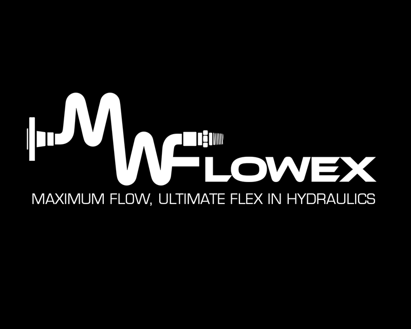 Logo Design entry 1601568 submitted by ChampenG to the Logo Design for Flowex run by mwhryan