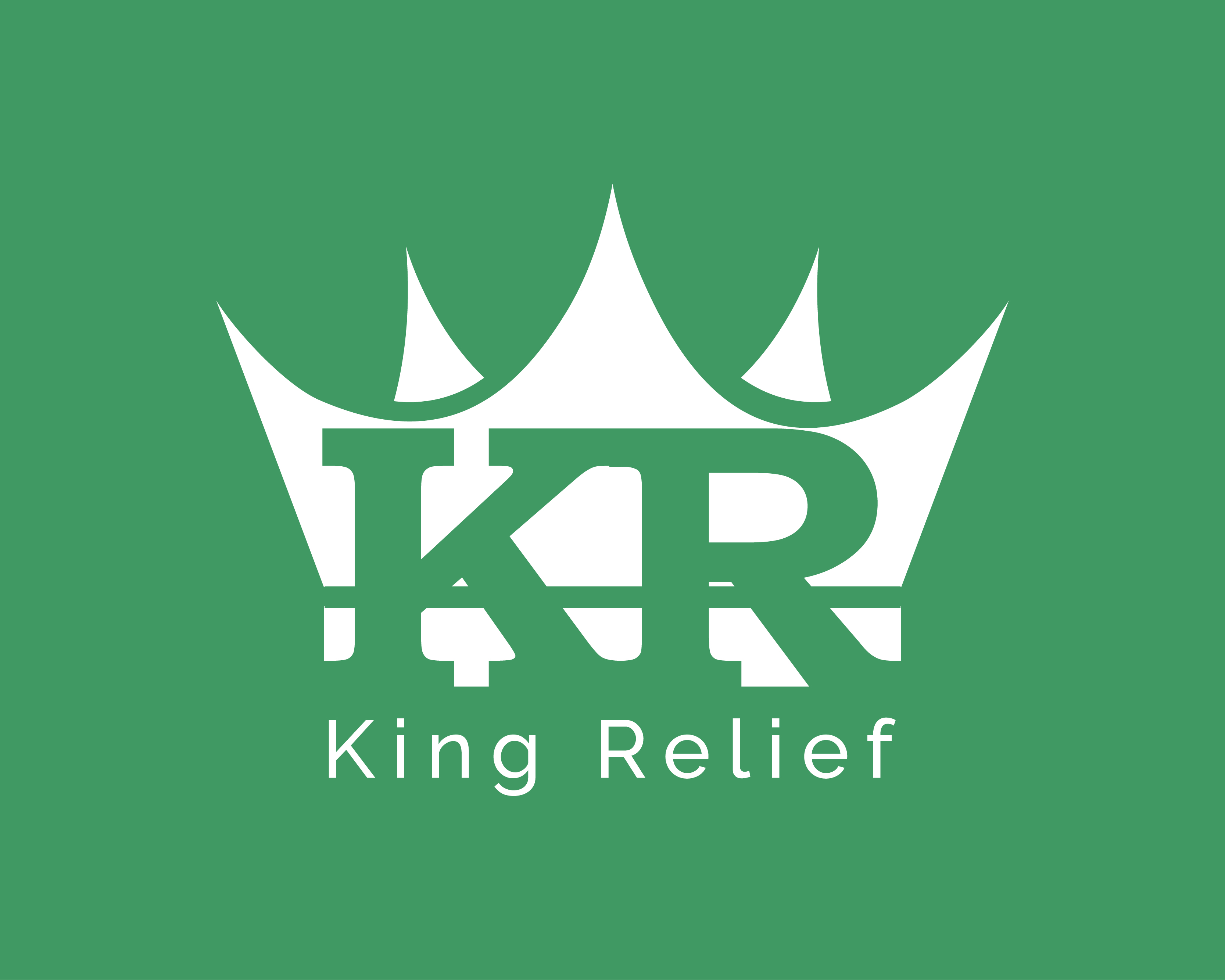 Logo Design entry 1607294 submitted by Rahul22 to the Logo Design for King Relief  run by jvititoe