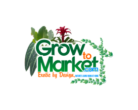 Logo Design entry 1607504 submitted by punkscratch13 to the Logo Design for www.growtomarket.com run by sori123