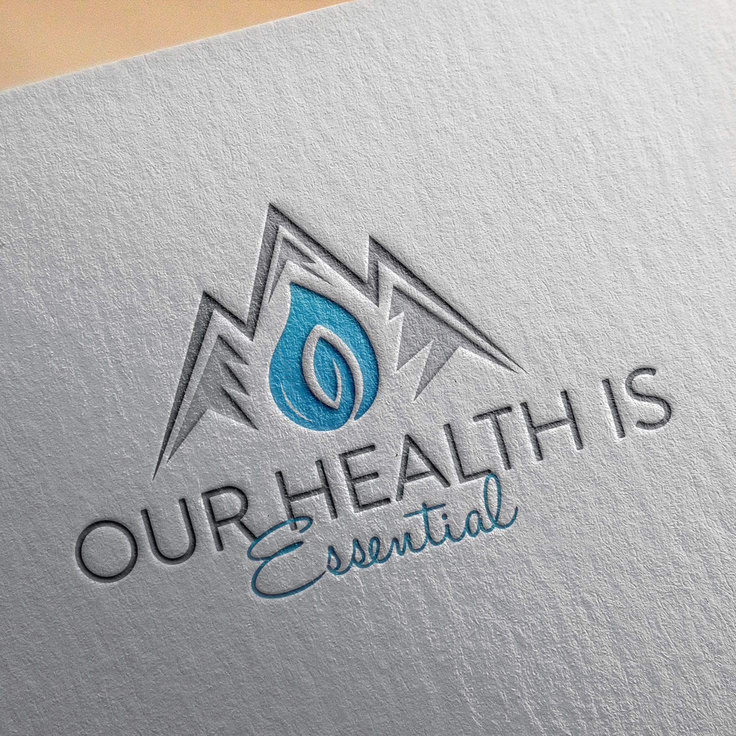 Logo Design entry 1682694 submitted by morearts