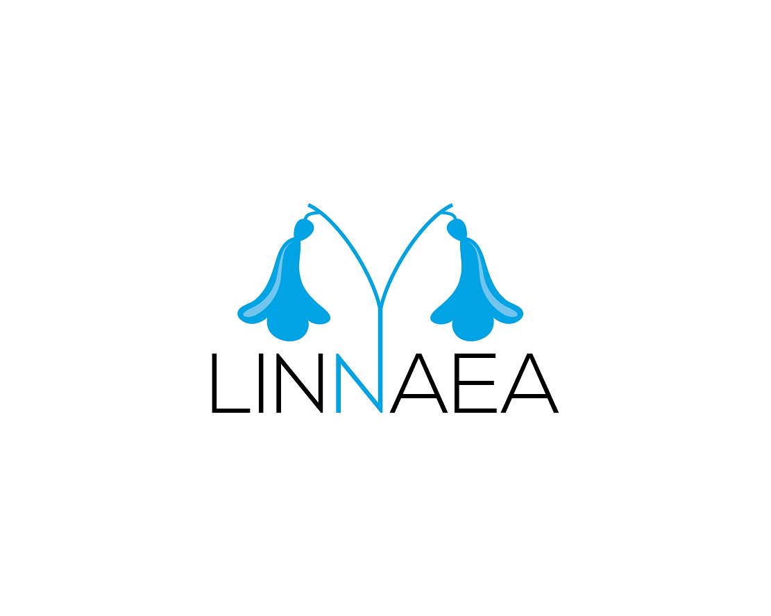 Logo Design entry 1692500 submitted by DORIANA999