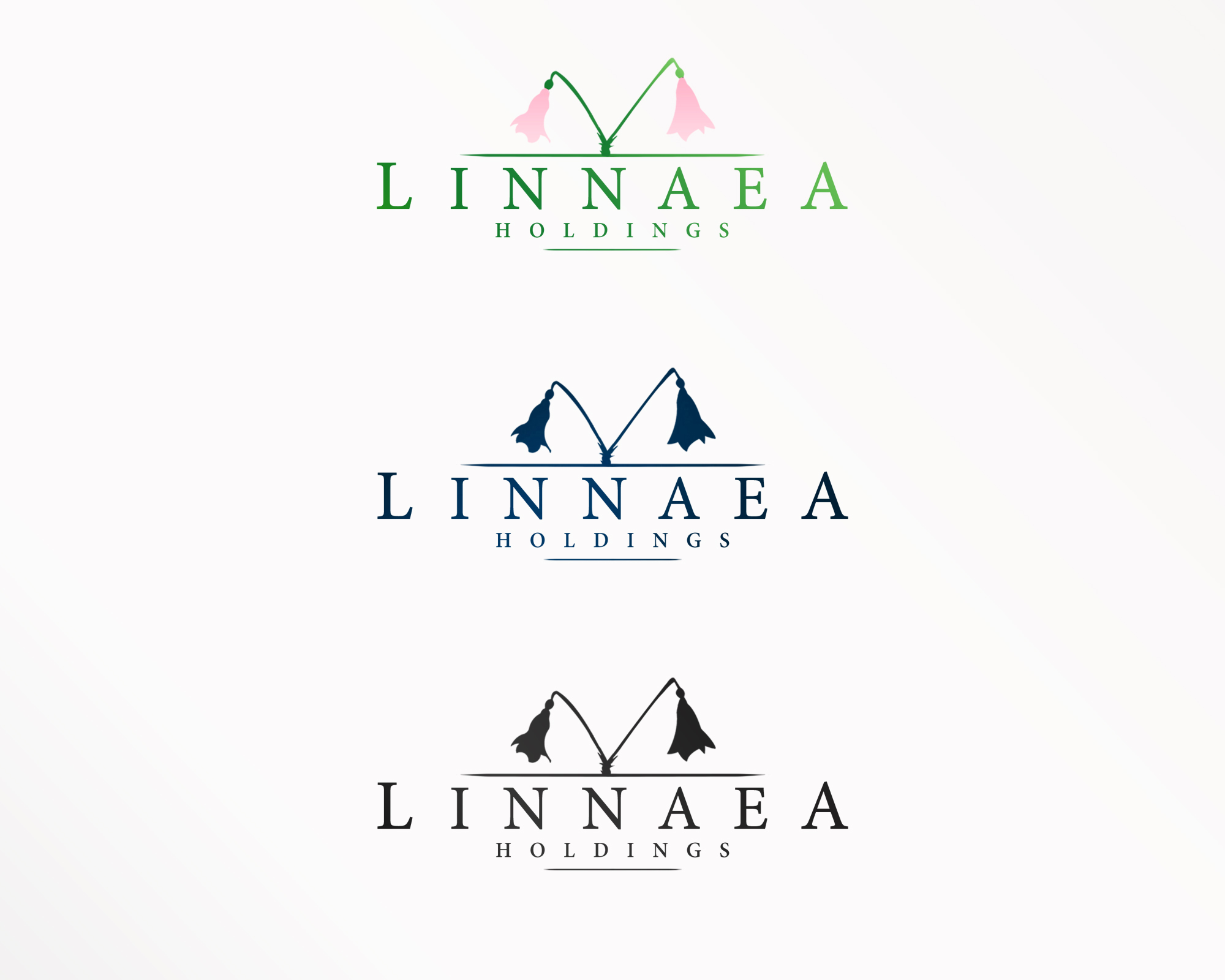Logo Design entry 1695945 submitted by Edge Creative