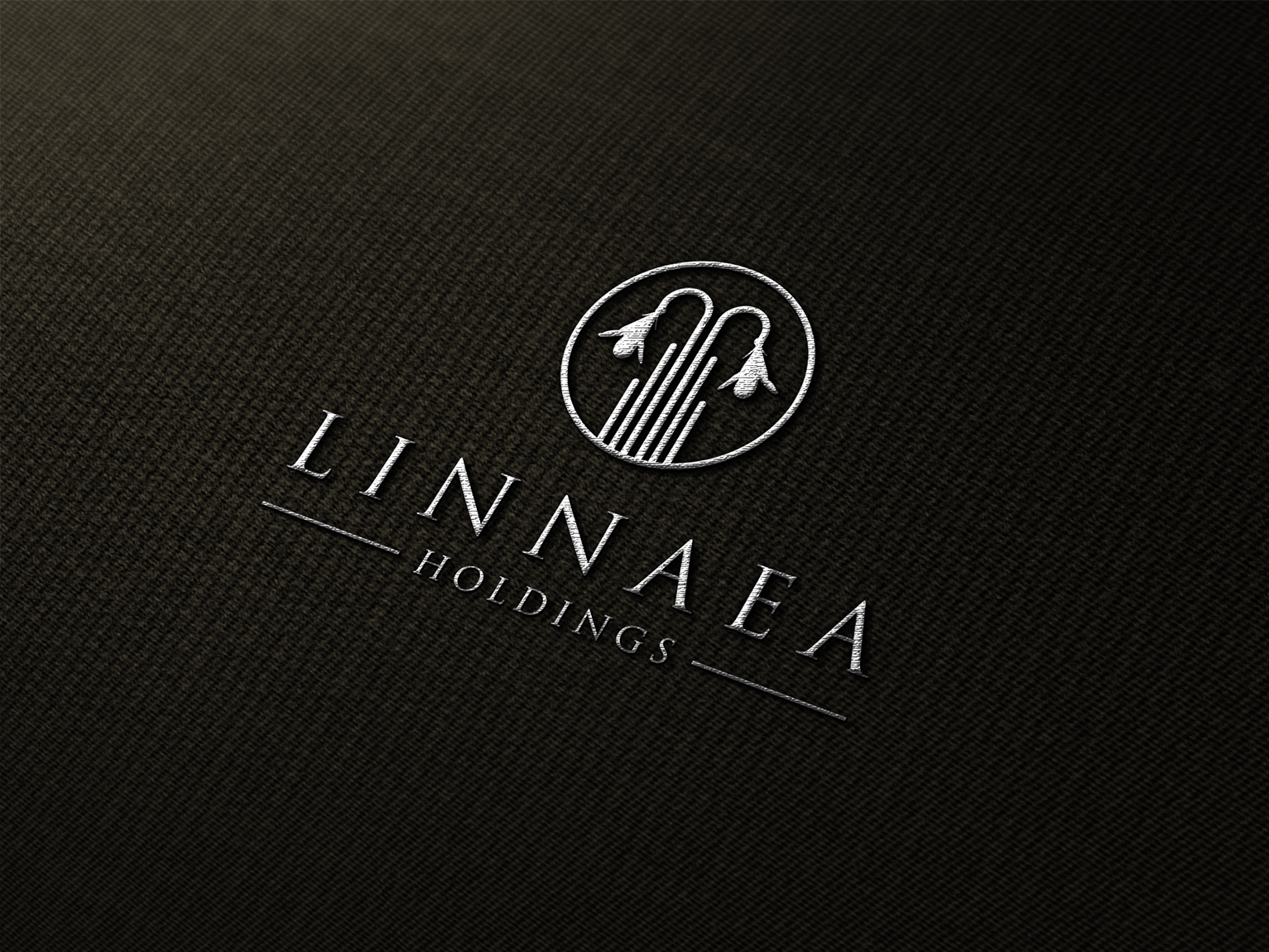 Logo Design entry 1696116 submitted by Sanadesigns