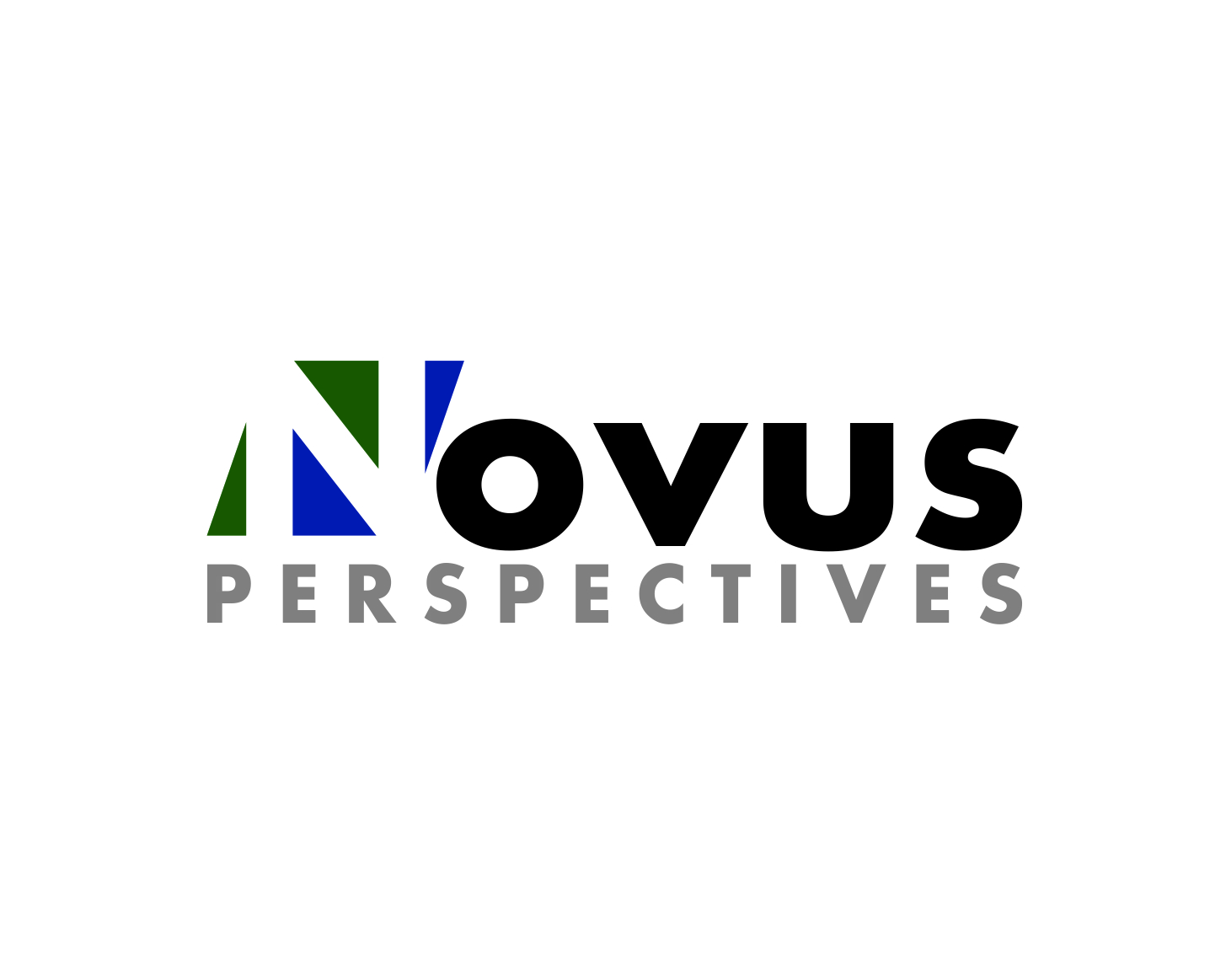 Logo Design entry 1640356 submitted by Designature to the Logo Design for Novus Perspectives run by ryansus@gmail.com