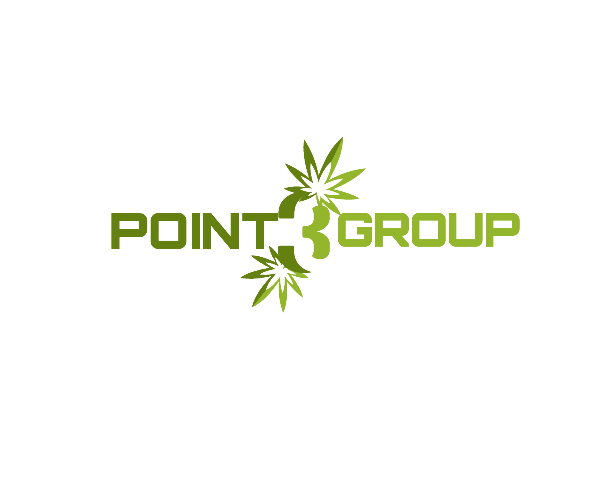 Logo Design entry 1649329 submitted by Edge Creative to the Logo Design for Point 3 Group run by etdonnell