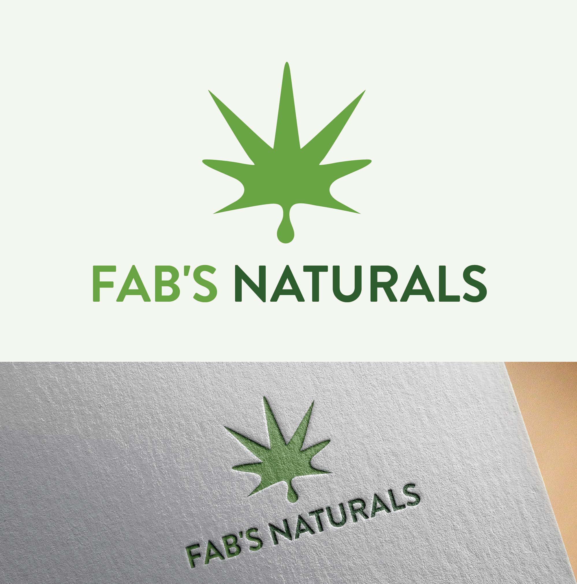 Logo Design entry 1654088 submitted by morearts to the Logo Design for Fab's Naturals run by fabri@att.net