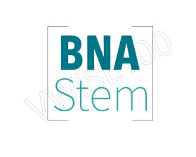 Logo Design entry 1658404 submitted by pwdzgn to the Logo Design for BNA Stem run by frontdesk