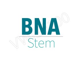 Logo Design entry 1658405 submitted by vwise100 to the Logo Design for BNA Stem run by frontdesk