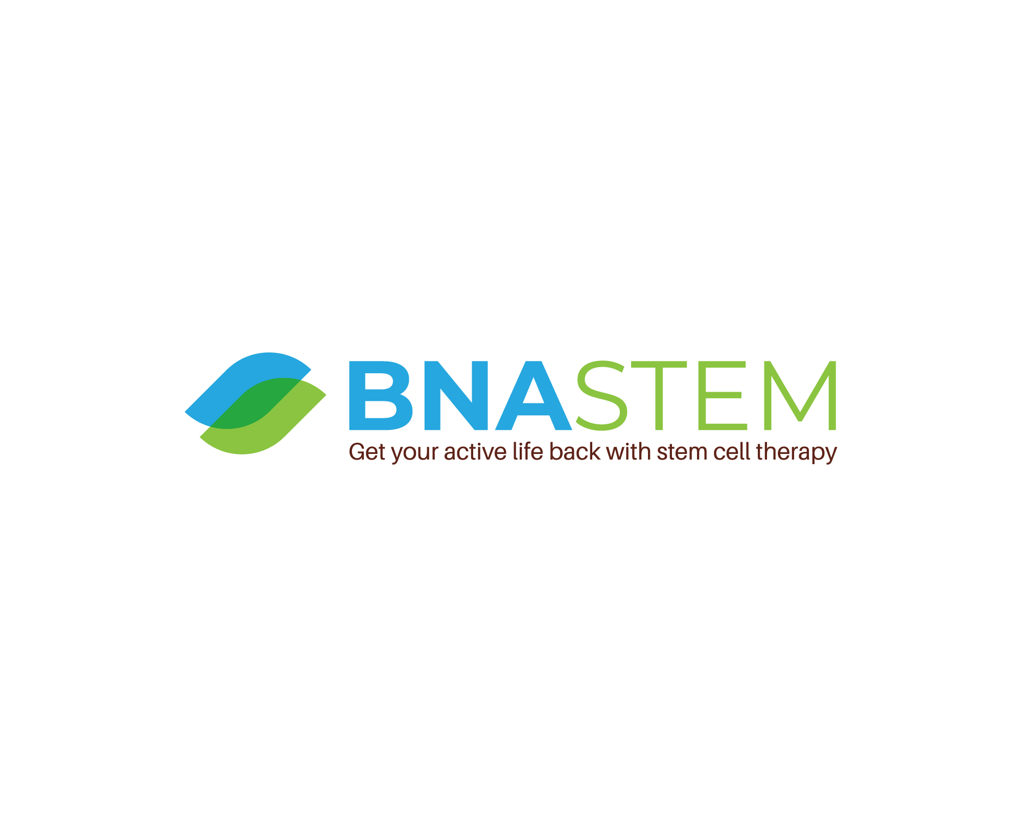 Logo Design entry 1658414 submitted by dsdezign to the Logo Design for BNA Stem run by frontdesk