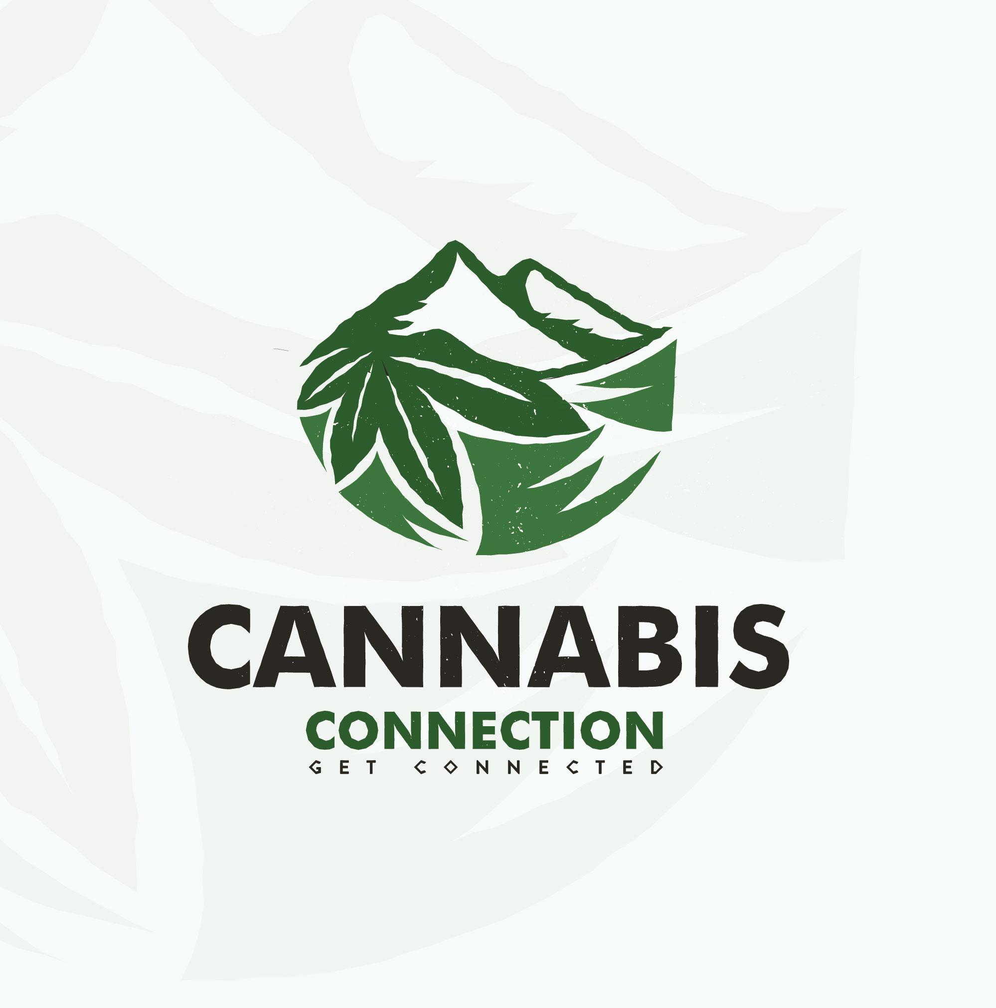 Logo Design entry 1718899 submitted by morearts