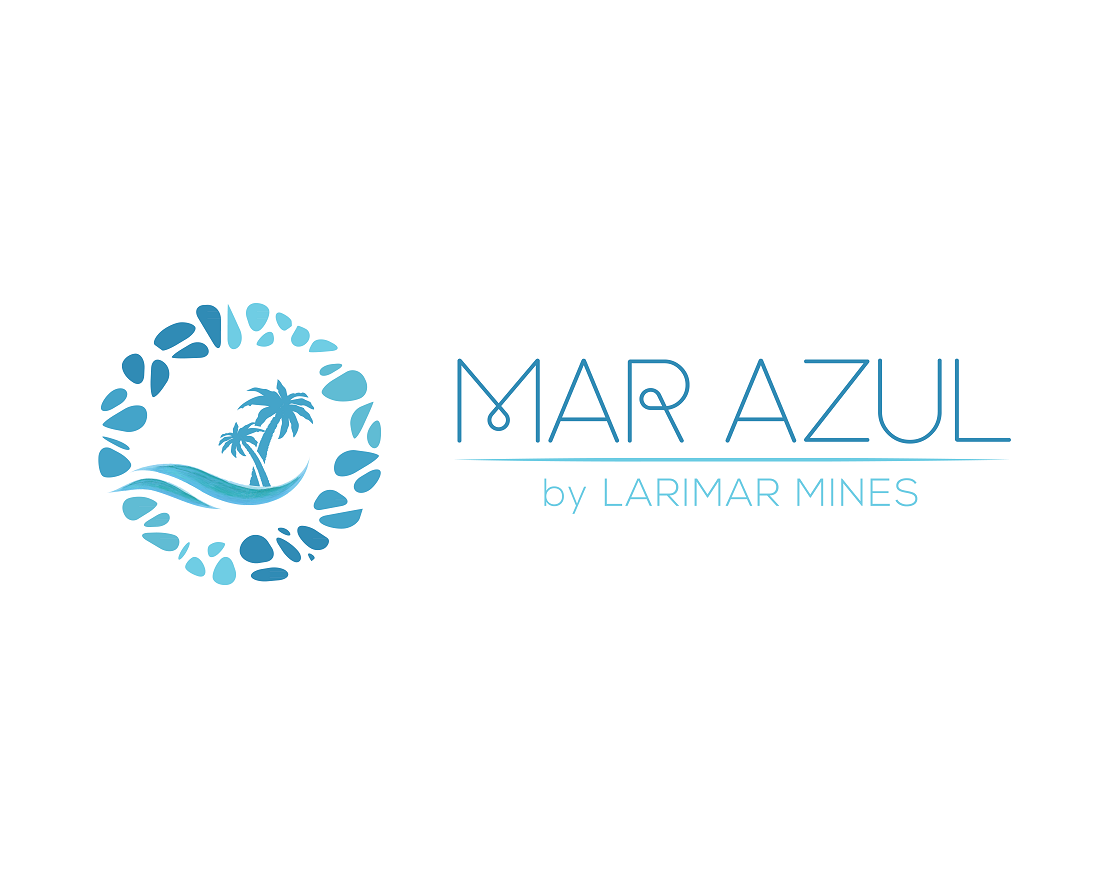 Logo Design entry 1725399 submitted by DORIANA999