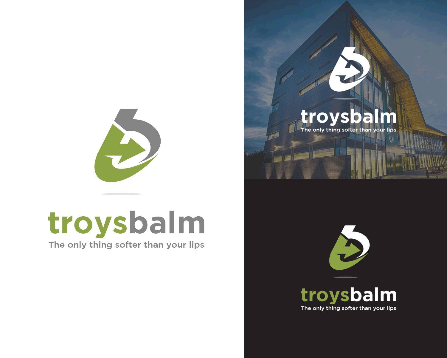 Logo Design entry 1733209 submitted by WorldDesign