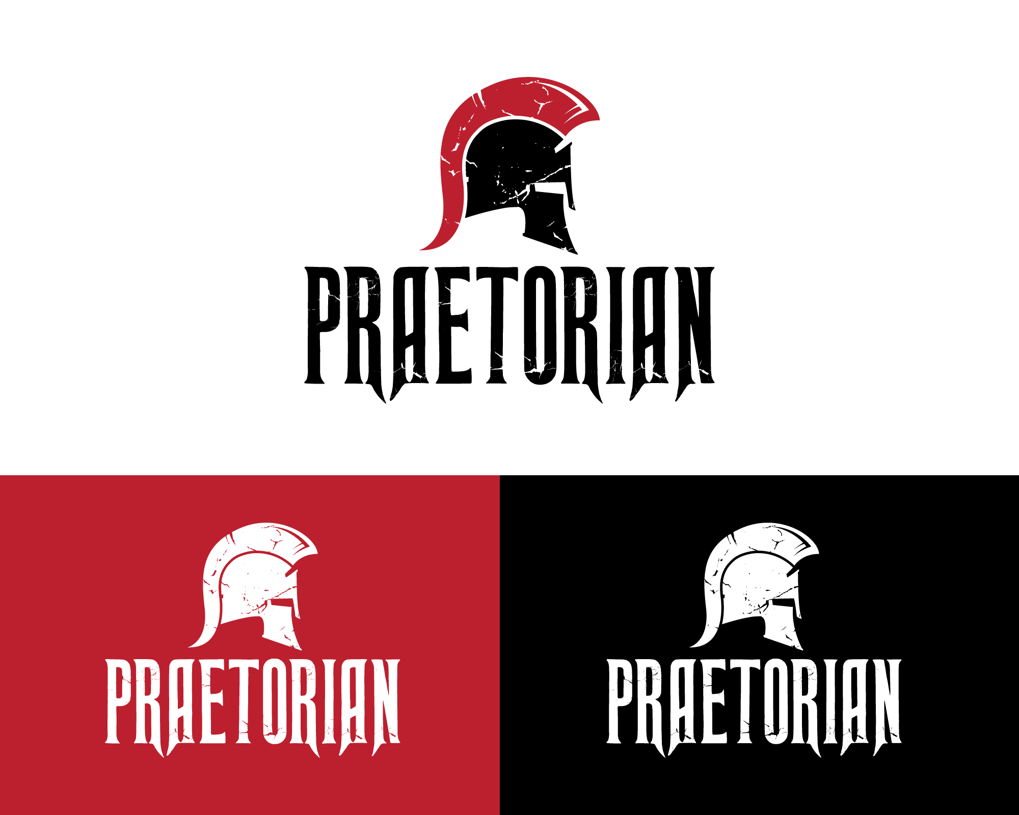 Logo Design Contest for Praetorian