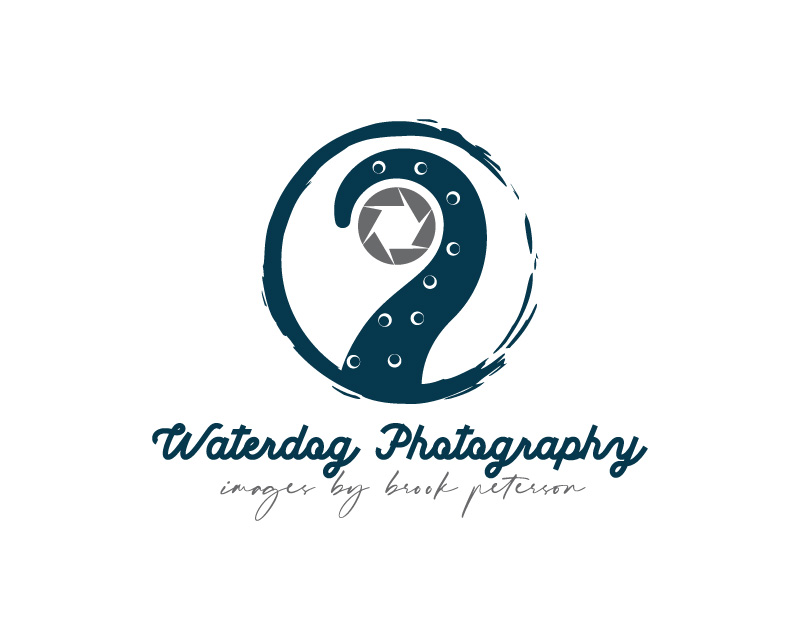 Logo Design entry 1733266 submitted by Amit1991