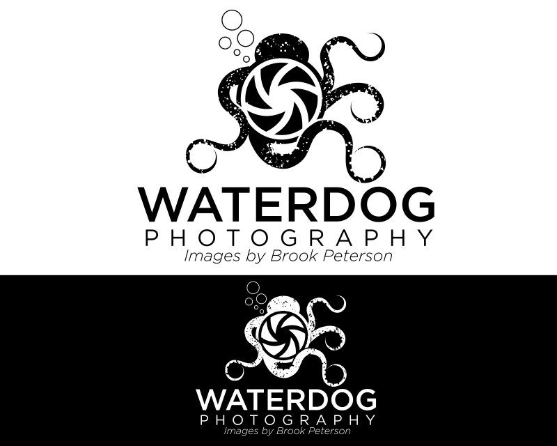 Logo Design entry 1733375 submitted by marsell