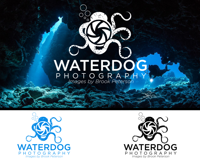 Logo Design entry 1733386 submitted by marsell