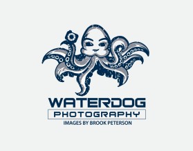 Logo Design entry 1733532 submitted by beekitty7