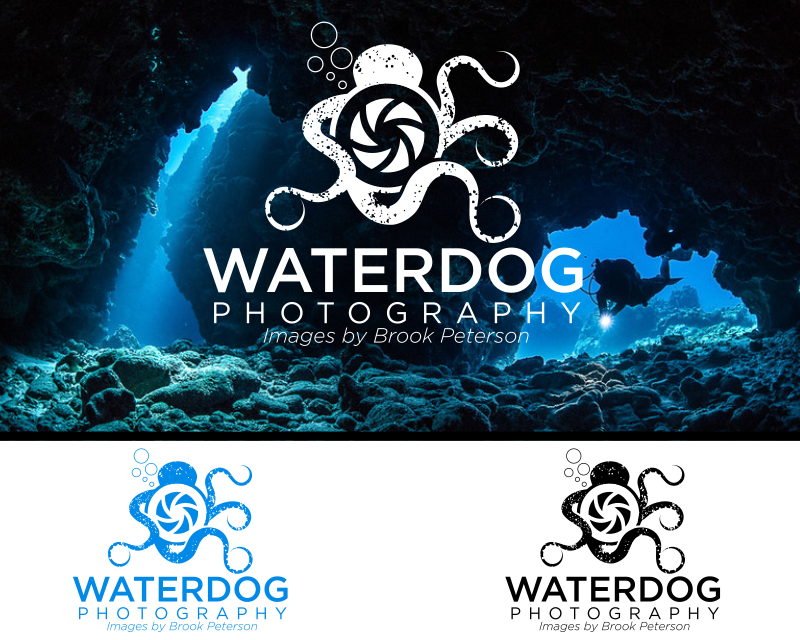 Logo Design entry 1733566 submitted by marsell