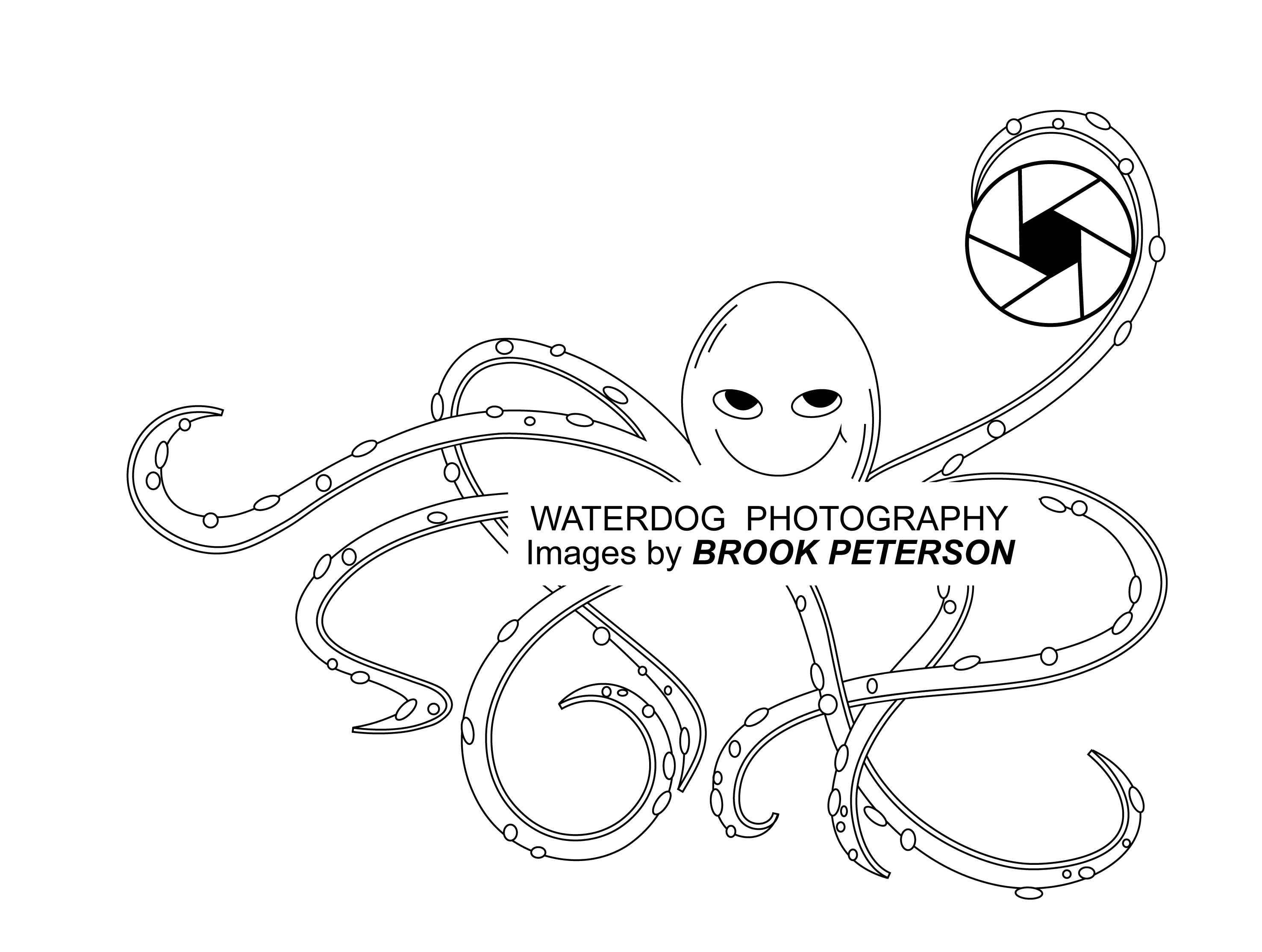 Logo Design entry 1672837 submitted by soreshn to the Logo Design for Waterdog Photography run by brookpeterson