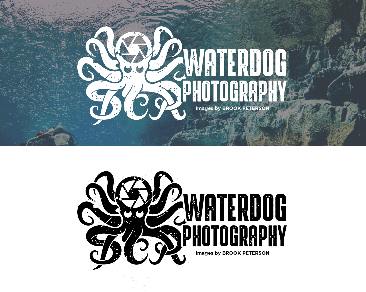 Logo Design entry 1672800 submitted by chzsquad1 to the Logo Design for Waterdog Photography run by brookpeterson