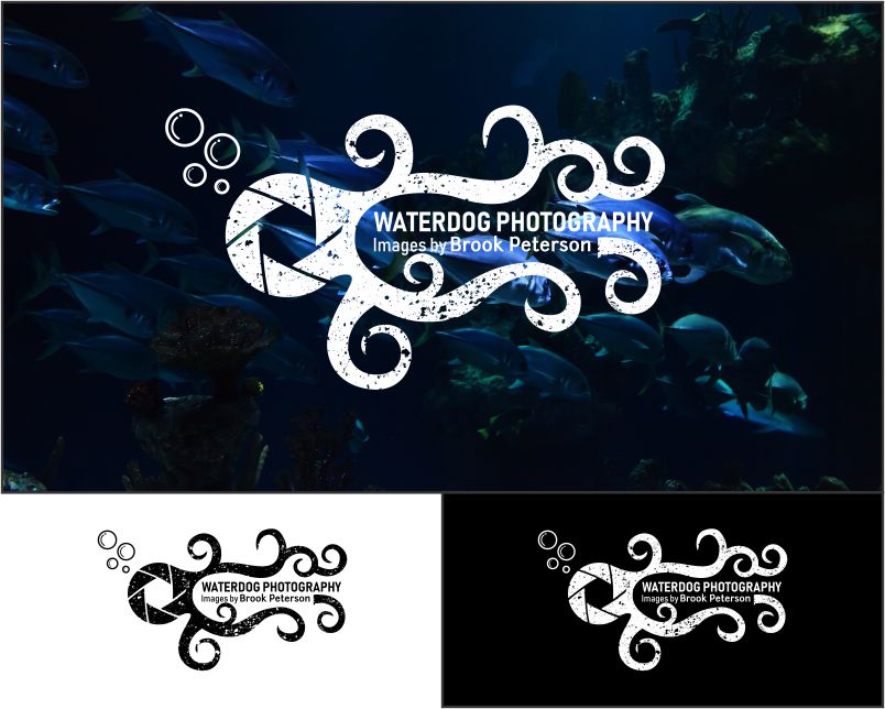 Logo Design entry 1672837 submitted by paragraphikadesigns to the Logo Design for Waterdog Photography run by brookpeterson