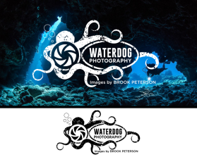 Logo Design entry 1672824 submitted by chzsquad1 to the Logo Design for Waterdog Photography run by brookpeterson