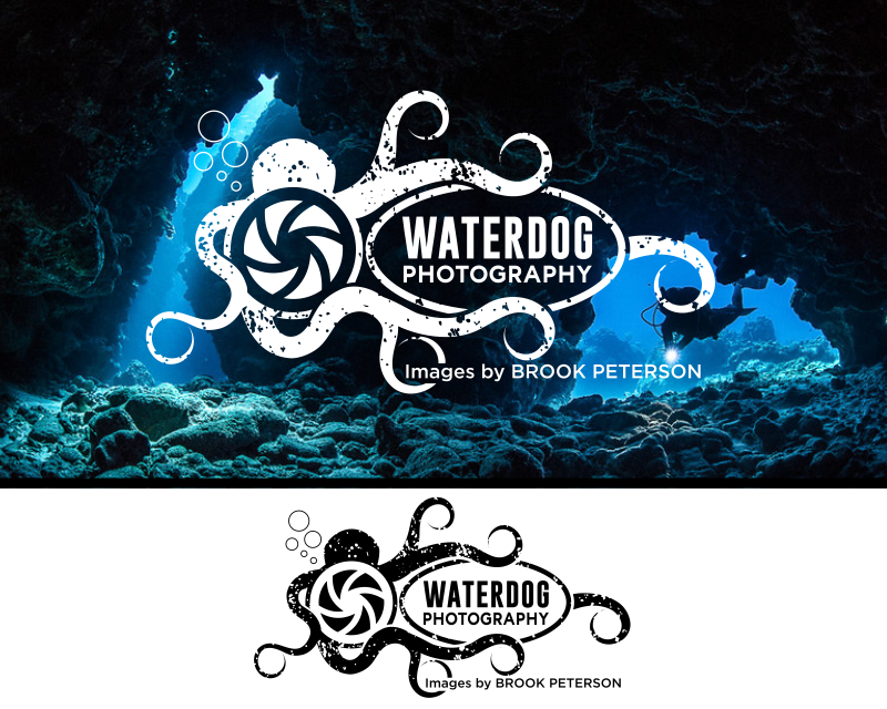 Logo Design entry 1736584 submitted by marsell