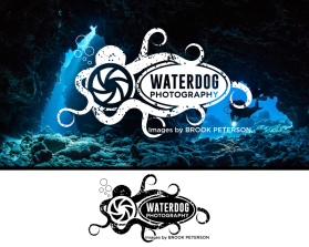 Logo Design entry 1736937 submitted by marsell