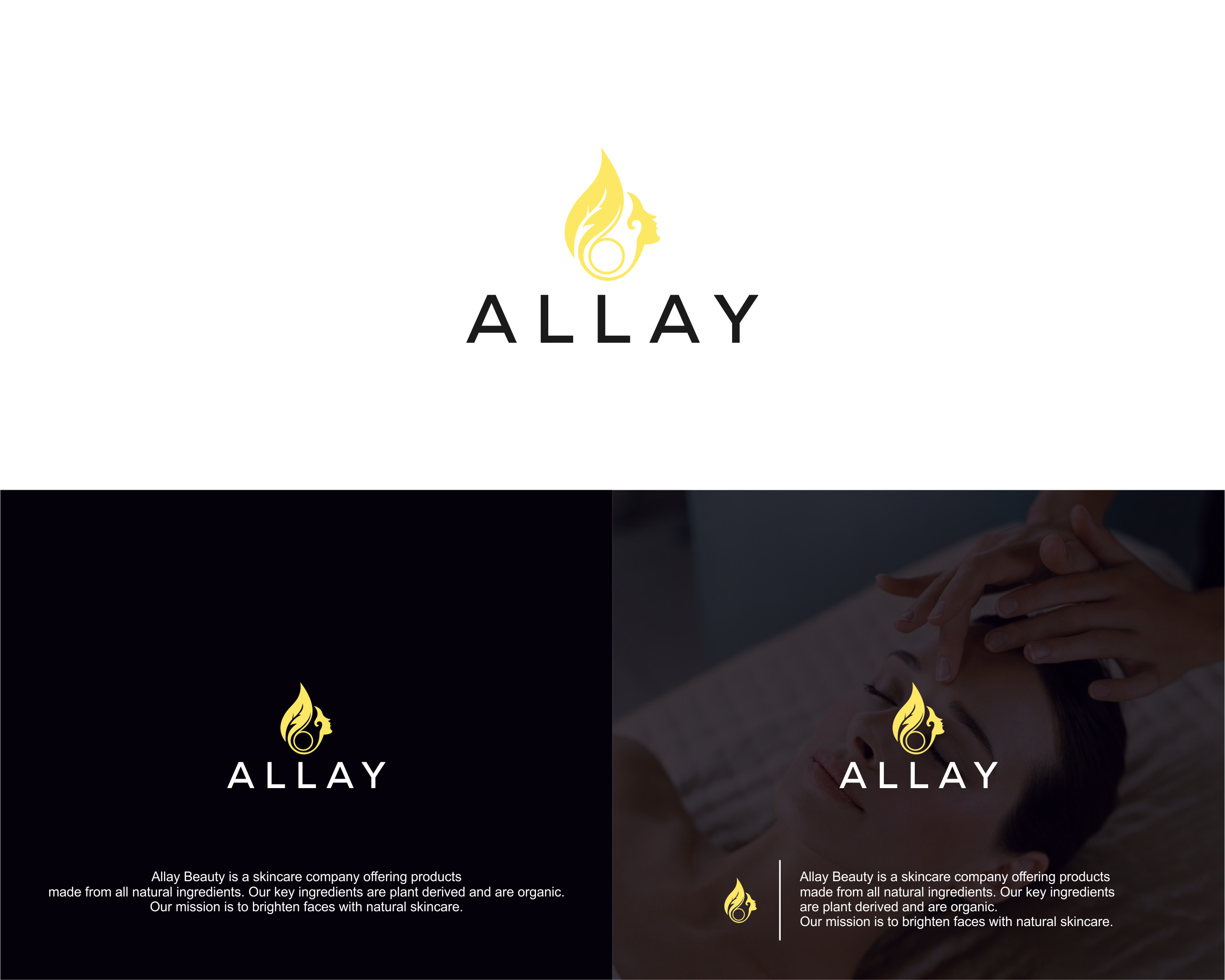 Logo Design entry 1678493 submitted by ucup to the Logo Design for Allay  run by allaybeauty