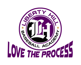 Logo Design entry 1681760 submitted by eksograf to the Logo Design for Liberty Hill Baseball Academy run by Panthers_LH