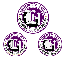 Logo Design entry 1681775 submitted by offerwerks to the Logo Design for Liberty Hill Baseball Academy run by Panthers_LH