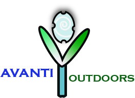 Logo Design entry 1684170 submitted by naiven to the Logo Design for Avanti Outdoors run by jimlisi