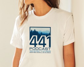 Logo Design entry 1687364 submitted by Sa_Shamjet to the Logo Design for 441 Podcast run by jackwarr