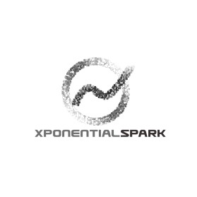 Logo Design entry 1689618 submitted by ManÄiÄ‡ to the Logo Design for Xponential Spark run by mewilkinson1