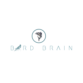 Logo Design entry 1697766 submitted by quimcey to the Logo Design for Bird Brain run by Nmass26