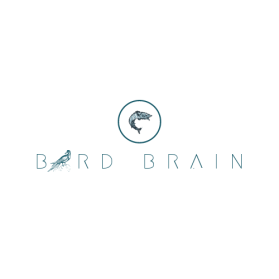 Logo Design Entry 1697767 submitted by Am That Creative to the contest for Bird Brain run by Nmass26