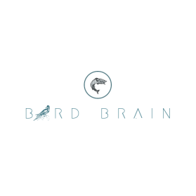 Logo Design entry 1697768 submitted by Am That Creative to the Logo Design for Bird Brain run by Nmass26
