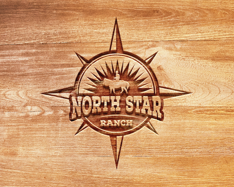Logo Design entry 1717206 submitted by 7 to the Logo Design for North Star Ranch  run by Sandra McAuliffe
