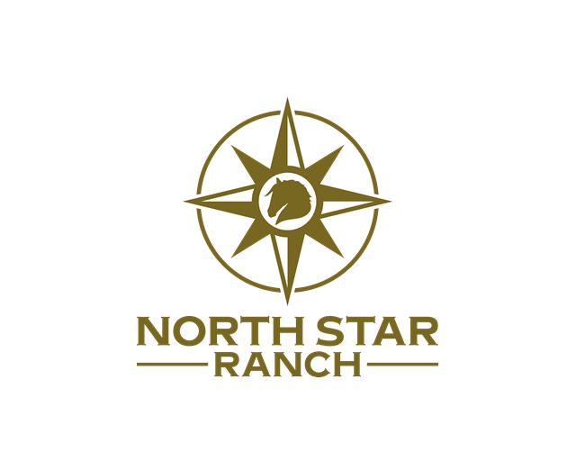 Logo Design entry 1717138 submitted by Fathenry to the Logo Design for North Star Ranch  run by Sandra McAuliffe