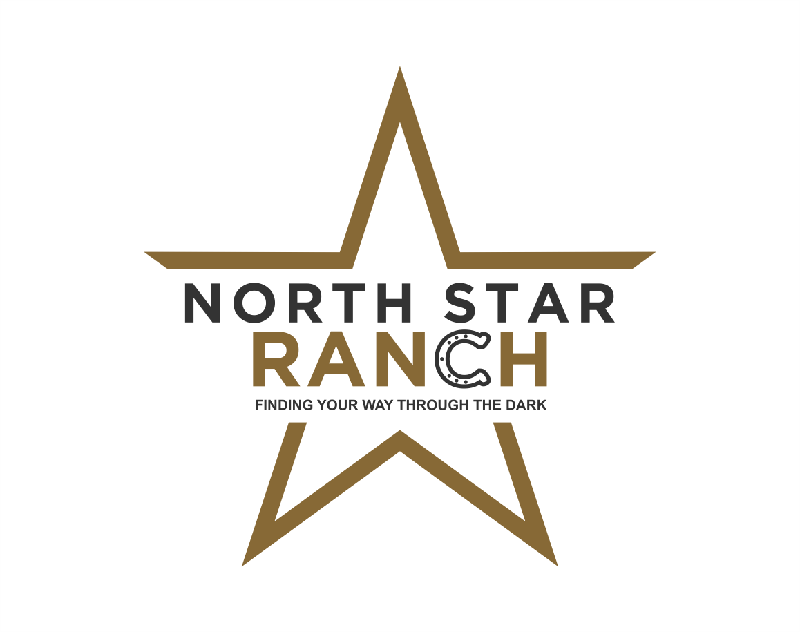 Logo Design entry 1717186 submitted by logo037 to the Logo Design for North Star Ranch  run by Sandra McAuliffe
