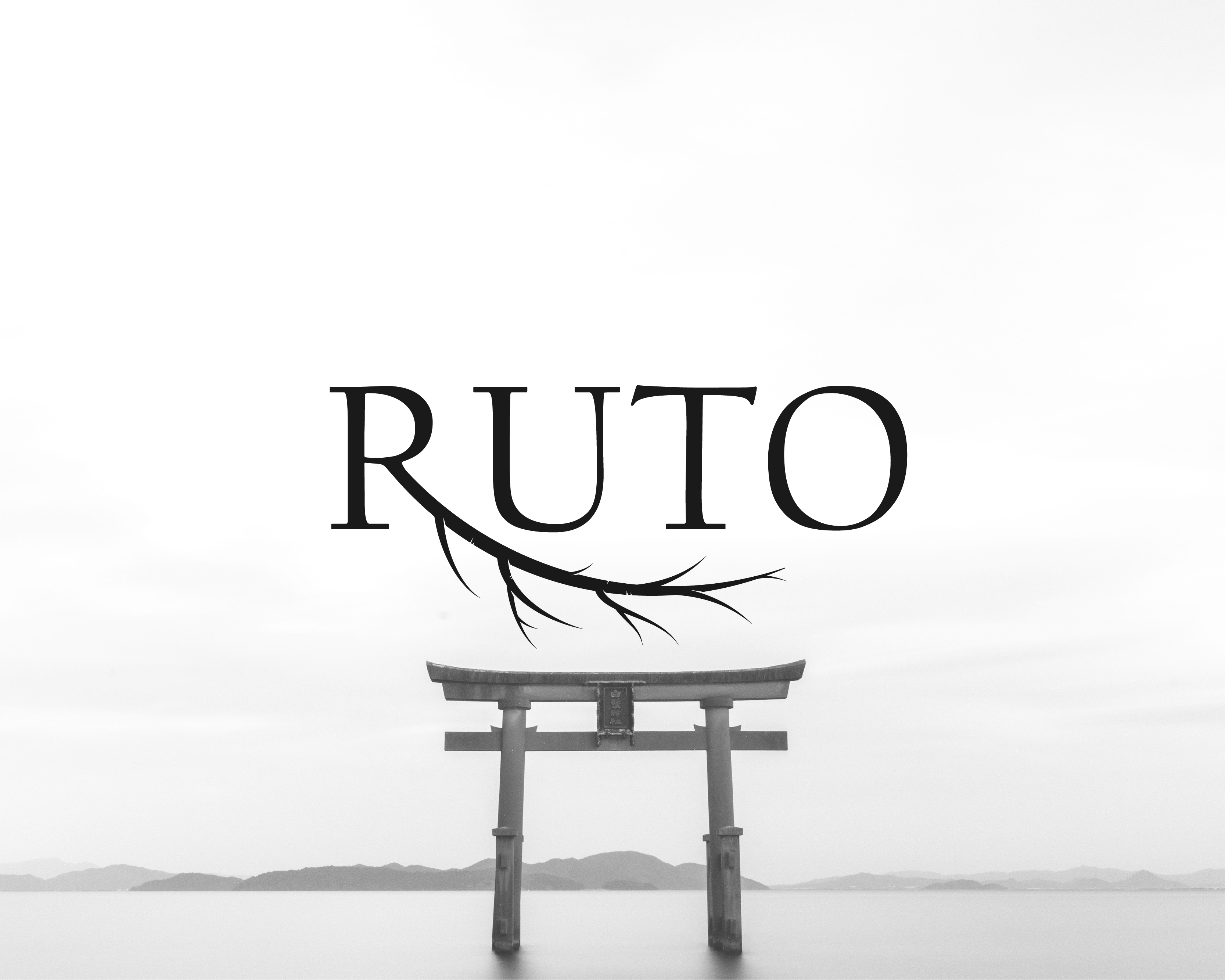 Logo Design entry 1730819 submitted by ingvar to the Logo Design for RUTO run by charlesbanh