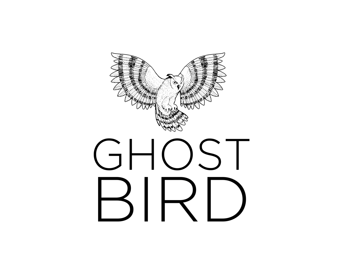 Logo Design entry 1744462 submitted by distosia to the Logo Design for GhostBird run by pasewalk