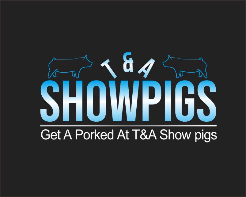 Logo Design entry 1751216 submitted by ziea to the Logo Design for T&A Showpigs run by Tashowpigs