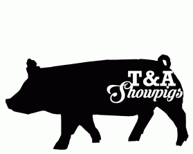 Logo Design entry 1751322 submitted by JayeBirdsMomma to the Logo Design for T&A Showpigs run by Tashowpigs